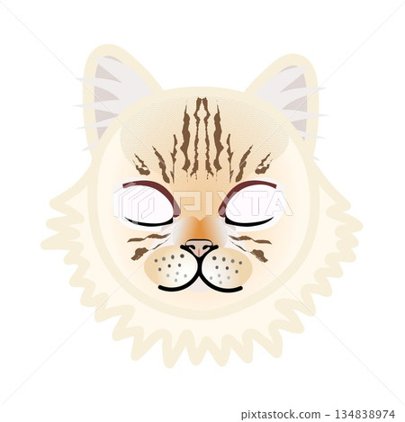 Persian cat face illustration Persian cat face illustration 134838974