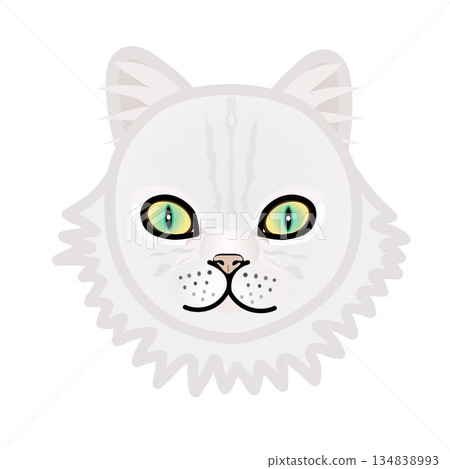 波斯貓臉部插圖 134838993
