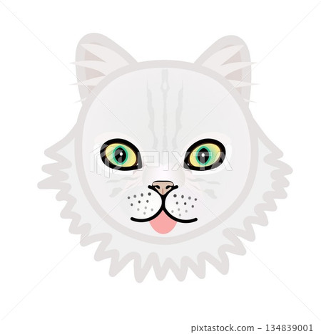 波斯貓臉部插圖 134839001