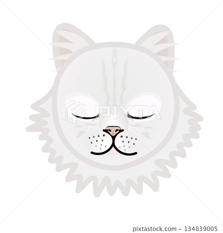 Persian cat face illustration Persian cat face illustration 134839005