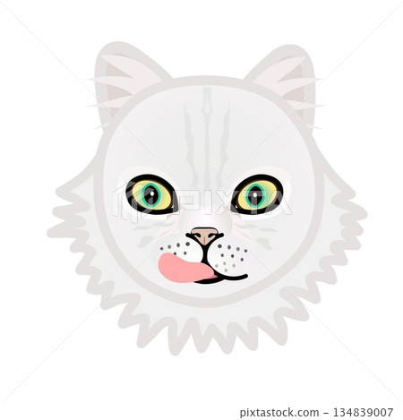 波斯貓臉部插圖 134839007