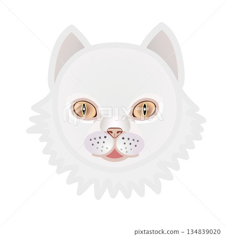 Persian cat face illustration Persian cat face illustration 134839020