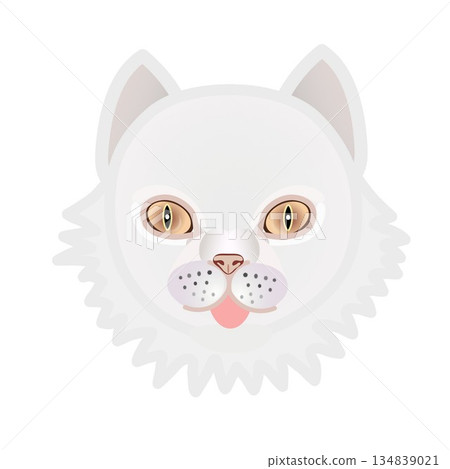 Persian cat face illustration 134839021