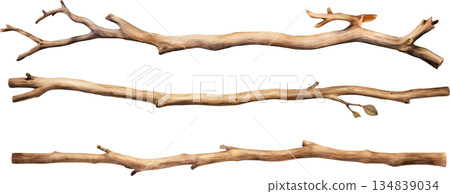 一組水彩插畫，描繪了漂浮的木頭，背景為白色，包含天然樹枝設計元素。 134839034