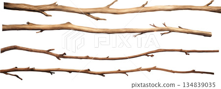 Hand-drawn realistic driftwood vector material, transparent brown watercolor art Hand-drawn realistic driftwood vector material, transparent brown watercolor art 134839035