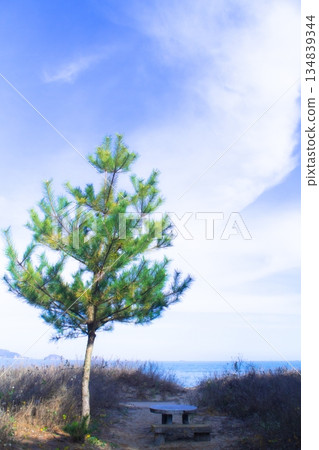 山有海的看法 134839344