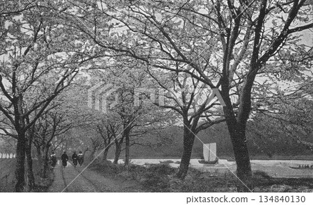 Old photo, 1926, Tokyo, cherry blossoms along the Edogawa River Old photo, 1926, Tokyo, cherry blossoms along the Edogawa River 134840130