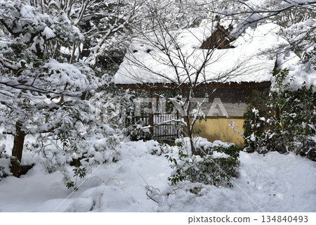 京都嵯峨野縣的圓滿寺 134840493