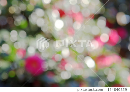 Background material: bokeh, sparkling image 134840859
