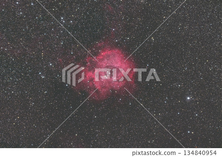 2022年玫瑰星雲 134840954