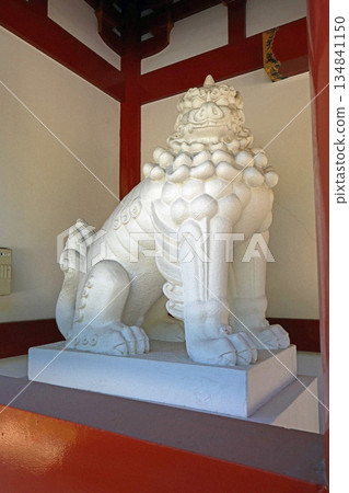 Ryusenji Temple (Black Eyes) 134841150