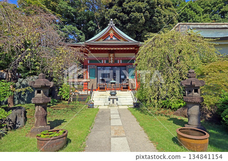 Ryusenji Temple (Black Eyes) 134841154