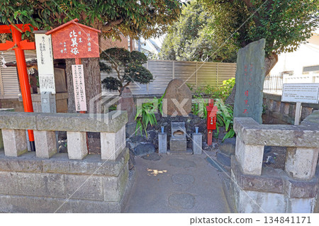 Ryusenji Temple (Black Eyes) Ryusenji Temple (Black Eyes) 134841171