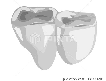一顆銀牙的插圖 134841203