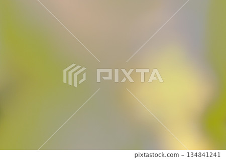 Green background material 134841241