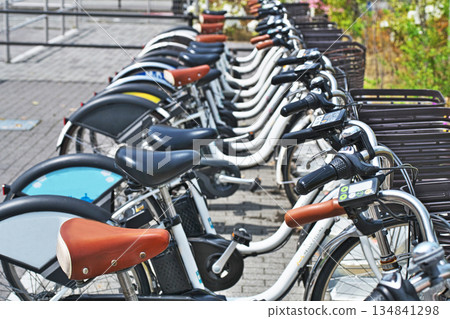 Many bicycles lined up at the shared bicycle port 134841298