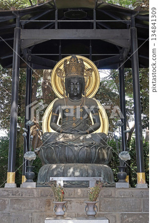 龍泉寺(黑眼) 龍泉寺(黑眼) 134841309