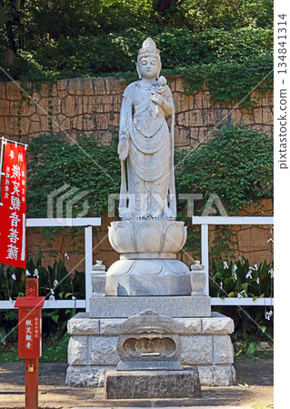 Ryusenji Temple (Black Eyes) 134841314
