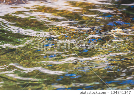秋日河流：清澈的溪流在秋日的陽光下閃閃發光 145 134841347