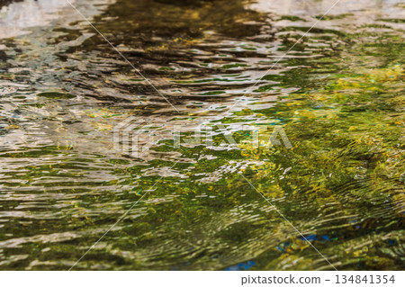 Autumn River: Clear streams shining in the autumn sunshine 152 134841354