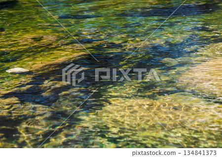 秋日河流：清澈的溪流在秋日的陽光下閃閃發光 141 134841373