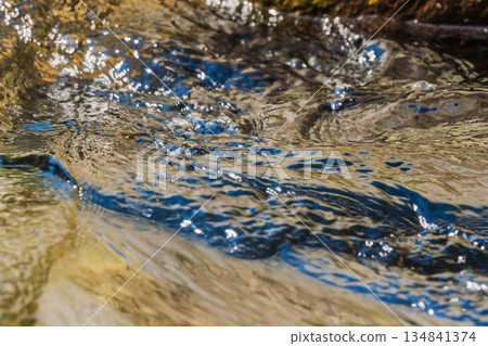 秋日河流：清澈的溪流在秋日的陽光下閃閃發光 142 134841374