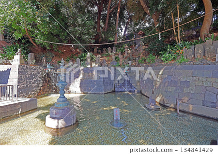 龍泉寺(黑眼) 龍泉寺(黑眼) 134841429
