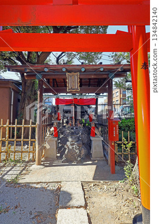 龍泉寺(黑眼) 龍泉寺(黑眼) 134842140