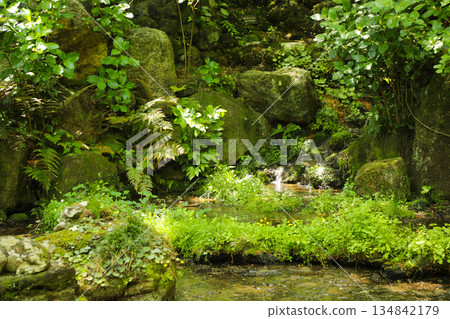 A small waterfall in a Japanese garden A small waterfall in a Japanese garden 134842179
