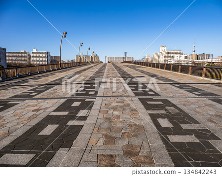 橫跨舊中川河的紅葉橋 橫跨舊中川河的紅葉橋 134842243