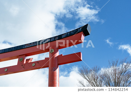 一隻紅色的鳥居在蔚藍的冬日天空下格外醒目 134842254