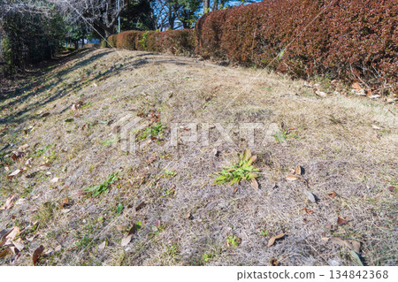 In the warmth of autumn's sunshine 134842368