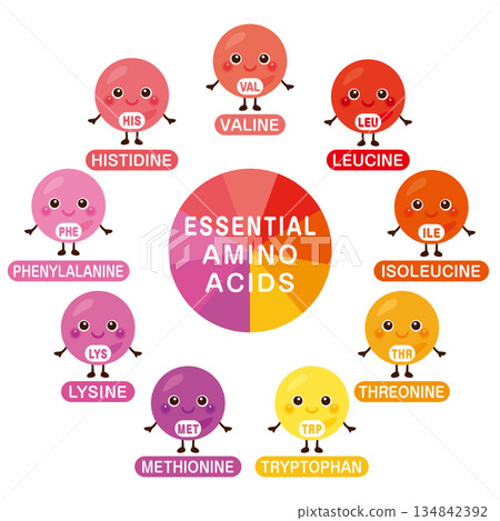 Essential amino acid character illustration set in English 134842392