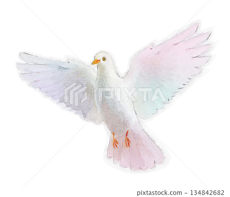 水彩鴿，和平與安全，拍打著翅膀的鳥 134842682