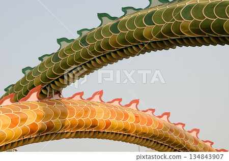 Ornaments resembling a dragon. Ornaments resembling a dragon. 134843907