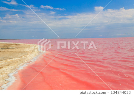 View of the pink salty Syvash lake in Kherson region, Ukraine 134844033