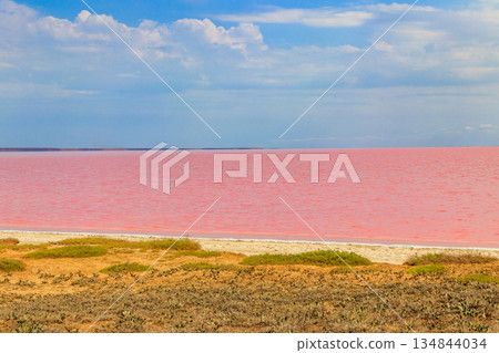 View of the pink salty Syvash lake in Kherson region, Ukraine View of the pink salty Syvash lake in Kherson region, Ukraine 134844034