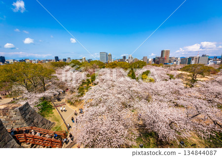 The cityscape of Fukuoka city and the blue sky seen from Fukuoka Castle Tower in Maizuru Park, Fukuoka Prefecture, in spring when cherry blossoms bloom The cityscape of Fukuoka city and the blue sky seen from Fukuoka Castle Tower in Maizuru Park, Fukuoka Prefecture, in spring when cherry blossoms bloom 134844087