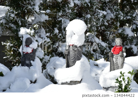 雪嵯峨藥師寺 134844422