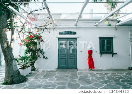 希臘聖托里尼島的美景 134844823