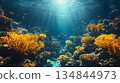 Sunlit Coral Reef Ecosystem with Golden Fish and Vibrant Coral F 134844973