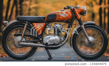 Classic Orange Motorcycle in Autumnal Forest Setting 134844979