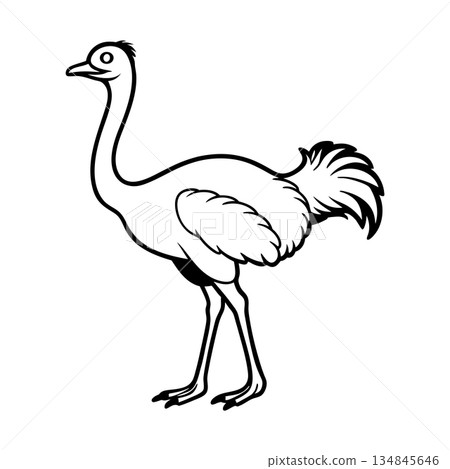 Cartoon ostrich illustration in black and white standing tall proudly 134845646