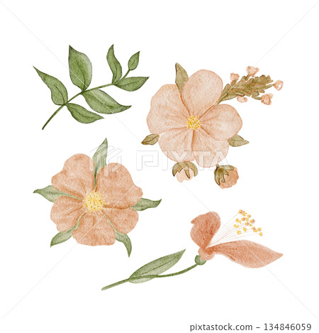 Floral set with peach flowers, green leaves watercolor isolated on white. Elegant hand-painted botanical clipart for wedding stationery, branding, packaging, invitations, modern feminine design 134846059