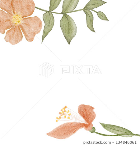 Floral frame horizontal border, peach blossoms, green leaves, watercolor hand-painted illustration isolated on white, botanical design ideal for wedding stationery, invitations, greeting cards 134846061