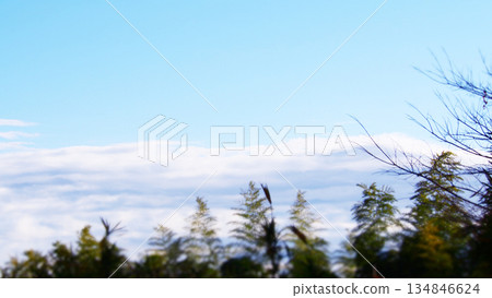 Winter skies and drought warnings Winter skies and drought warnings 134846624