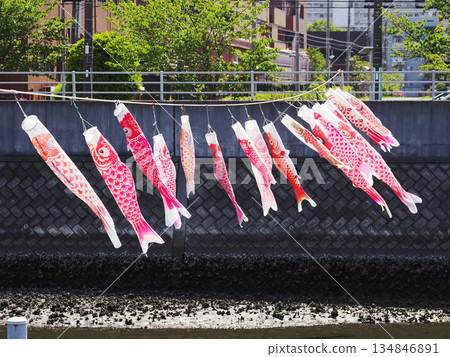 Carp streamers at Sakai River in Urayasu City, Chiba Prefecture 134846891