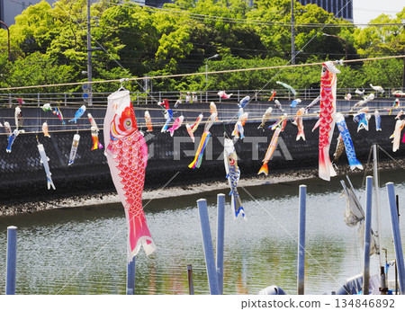 千葉縣浦安市堺川的鯉魚擬餌 134846892