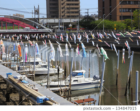 千葉縣浦安市堺川的鯉魚擬餌 134847015