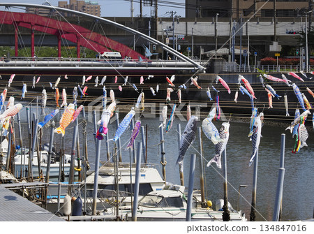 Carp streamers at Sakai River in Urayasu City, Chiba Prefecture 134847016